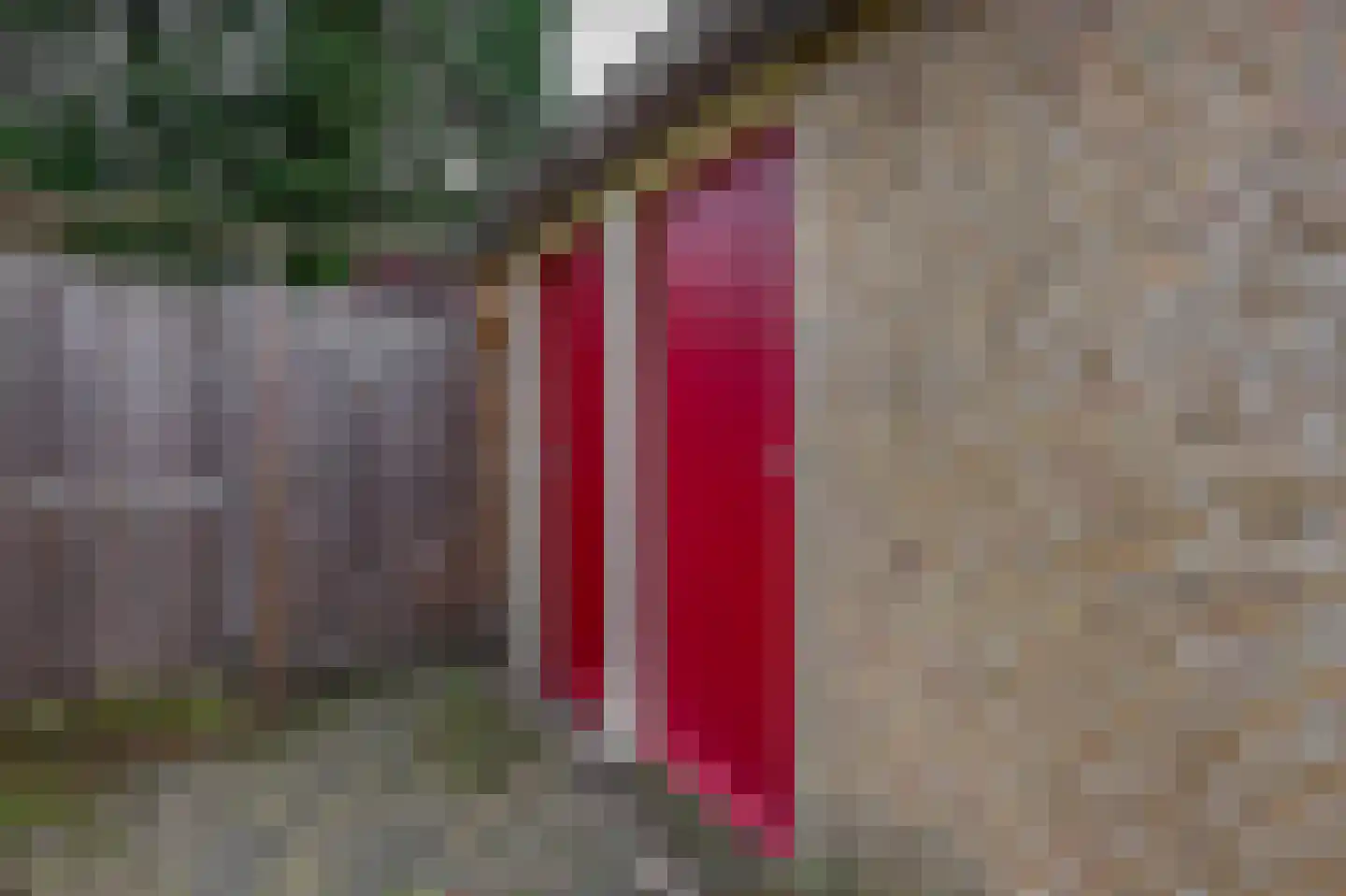 Broekwegkade 217 Zoetermeer thumbnail 37