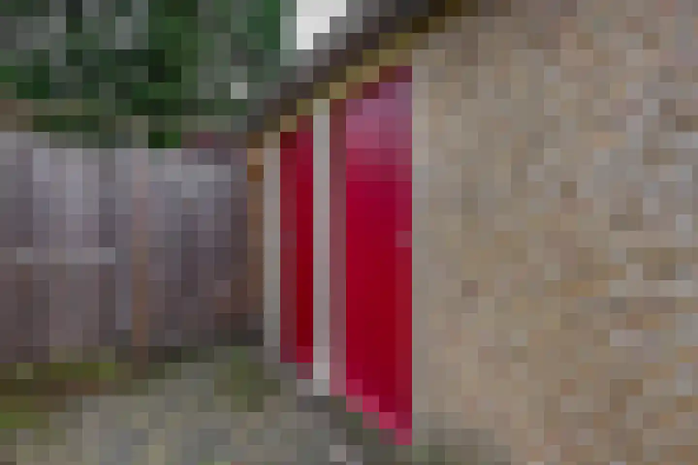 Broekwegkade 217 Zoetermeer thumbnail 37