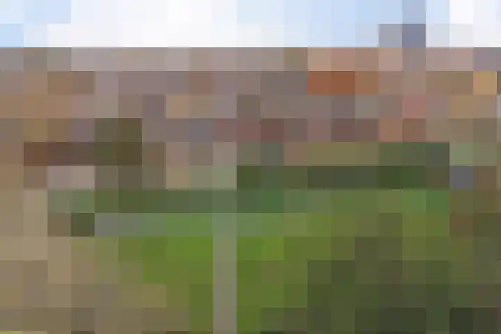 Broekwegschouw 210 Zoetermeer thumbnail 12