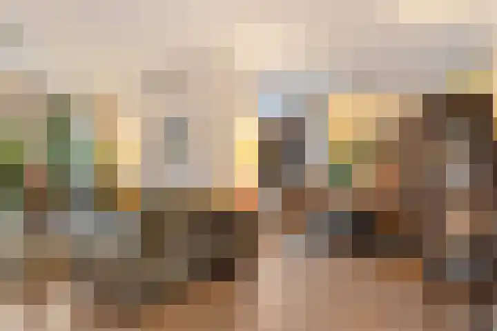 Broekwegschouw 210 Zoetermeer thumbnail 18