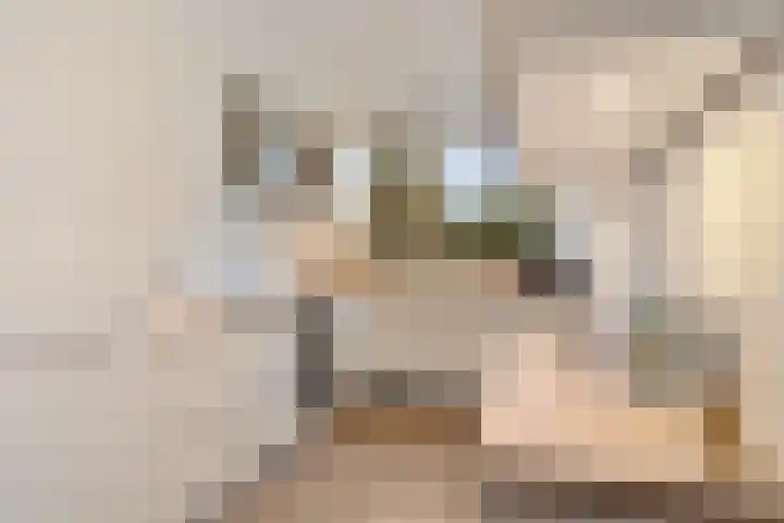 Broekwegschouw 210 Zoetermeer thumbnail 23