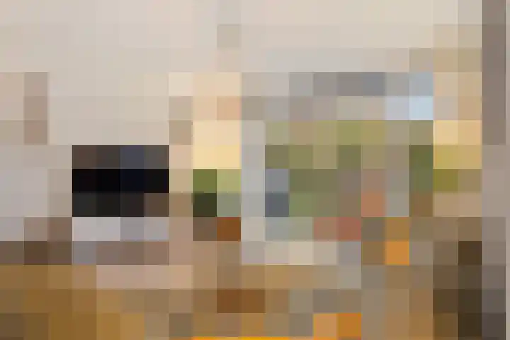 Broekwegschouw 210 Zoetermeer thumbnail 26
