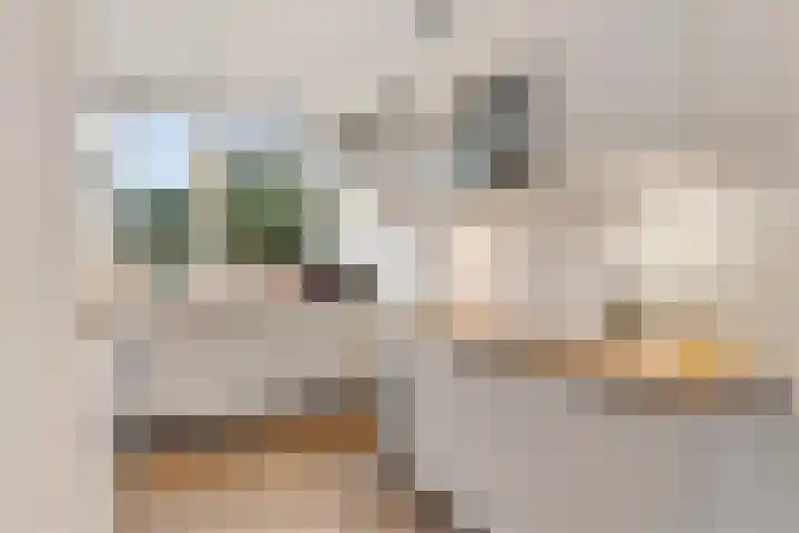 Broekwegschouw 210 Zoetermeer thumbnail 28