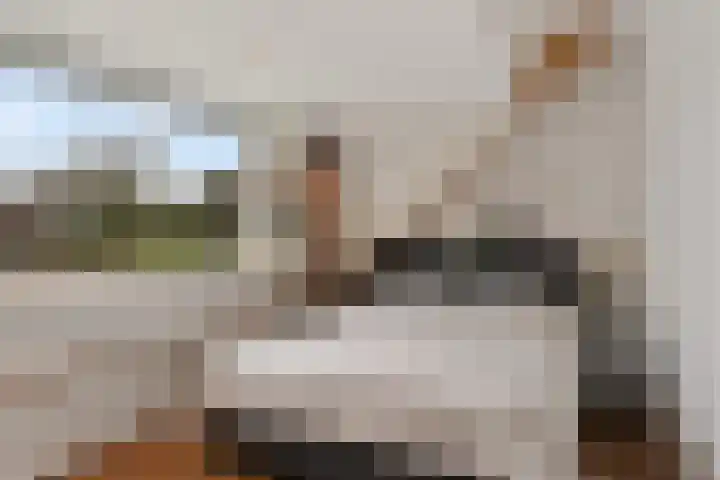 Broekwegschouw 210 Zoetermeer thumbnail 38