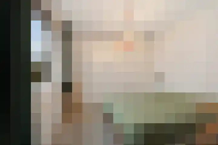 Broekwegschouw 210 Zoetermeer thumbnail 40
