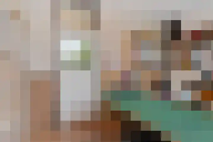 Broekwegschouw 210 Zoetermeer thumbnail 48