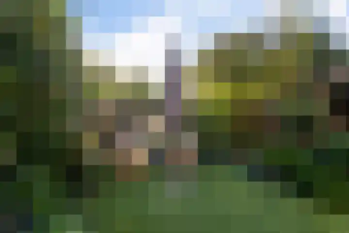 Broekwegschouw 210 Zoetermeer thumbnail 58