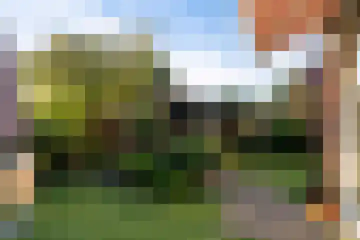 Broekwegschouw 210 Zoetermeer thumbnail 59