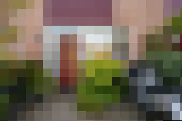Broekwegschouw 210 Zoetermeer thumbnail 6