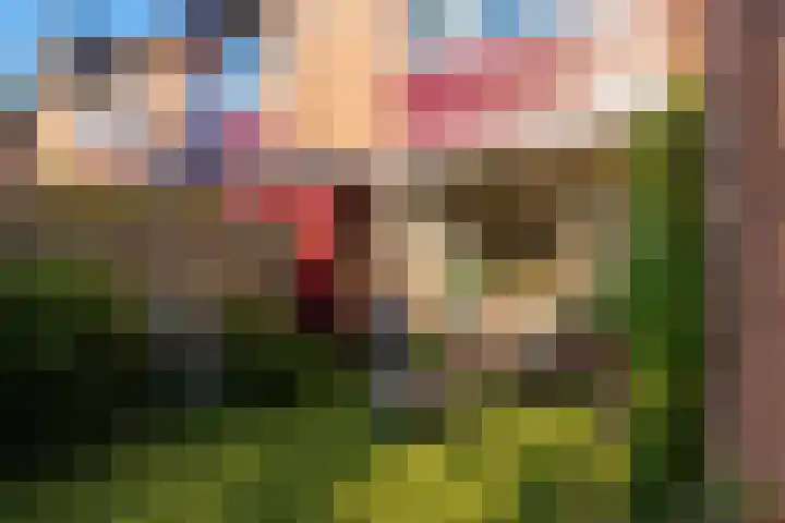 Broekwegschouw 210 Zoetermeer thumbnail 60