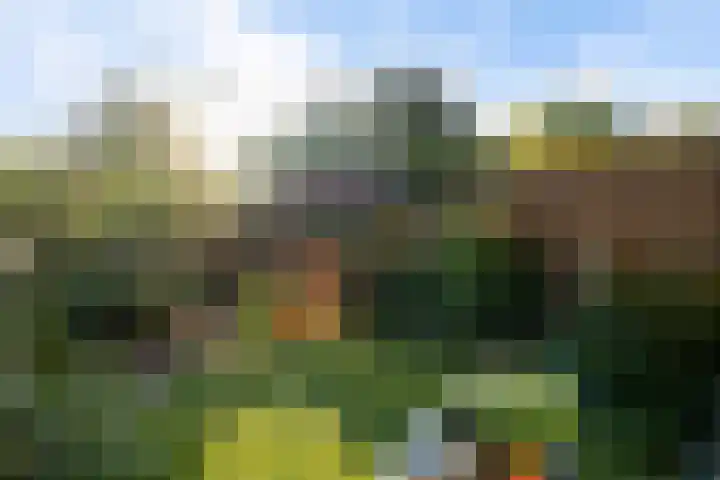 Broekwegschouw 210 Zoetermeer thumbnail 61