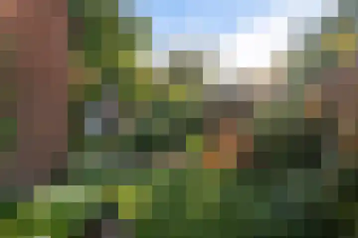 Broekwegschouw 210 Zoetermeer thumbnail 62