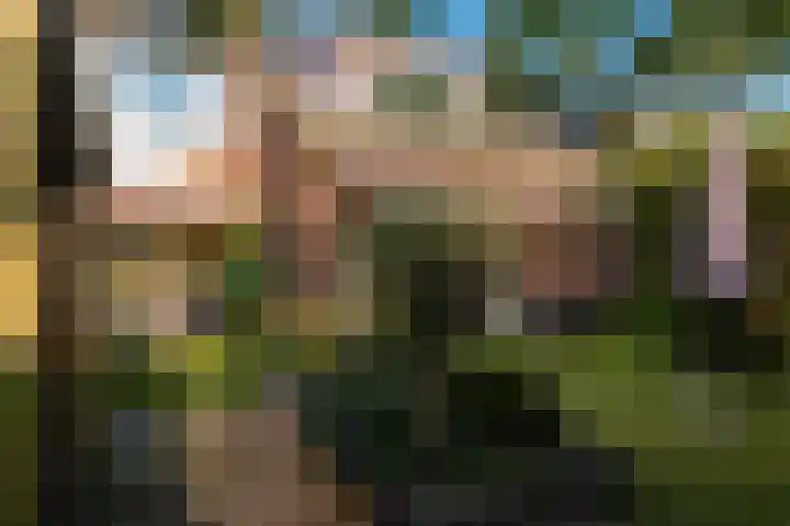 Broekwegschouw 210 Zoetermeer thumbnail 63