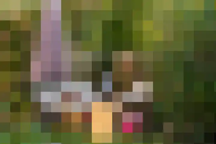 Broekwegschouw 210 Zoetermeer thumbnail 64