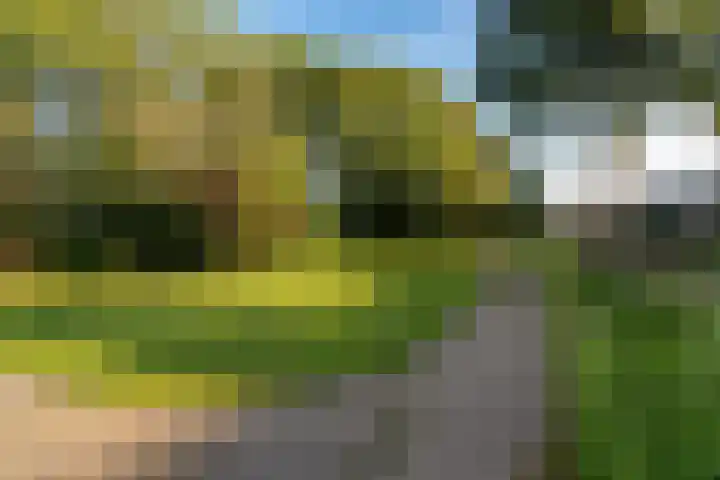 Broekwegschouw 210 Zoetermeer thumbnail 66
