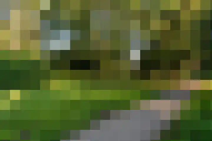Broekwegschouw 210 Zoetermeer thumbnail 67