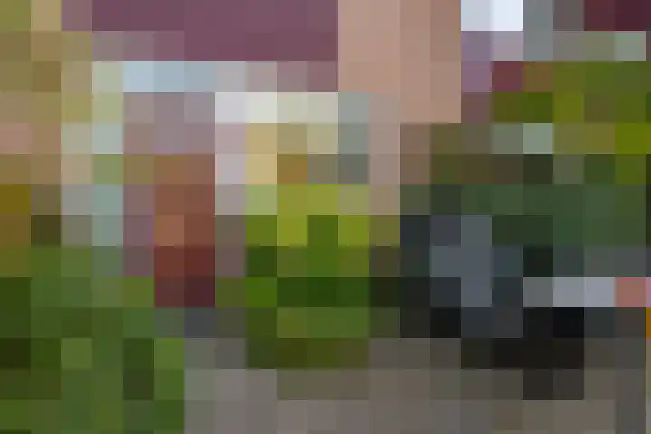 Broekwegschouw 210 Zoetermeer thumbnail 7