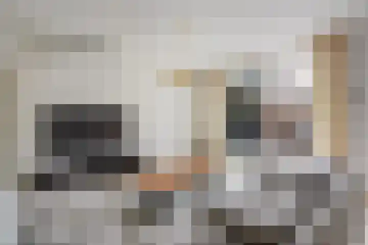 Broekwegschouw 224 Zoetermeer thumbnail 17