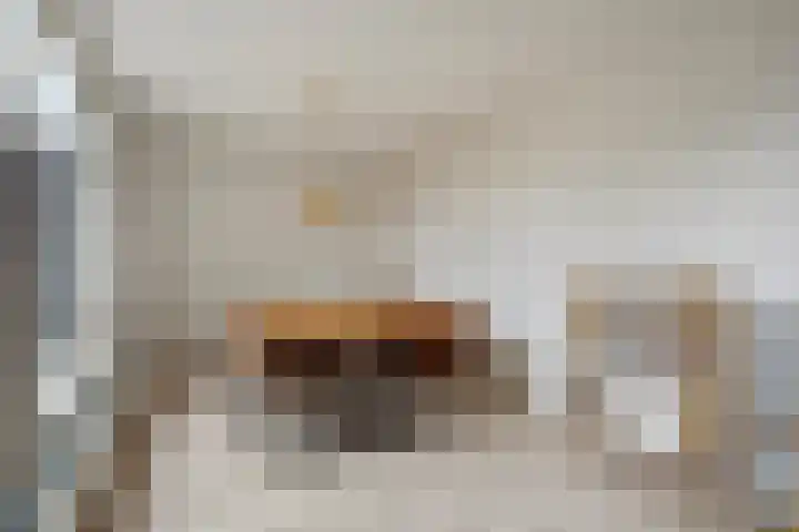 Broekwegschouw 224 Zoetermeer thumbnail 18