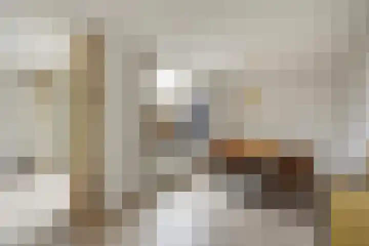Broekwegschouw 224 Zoetermeer thumbnail 19