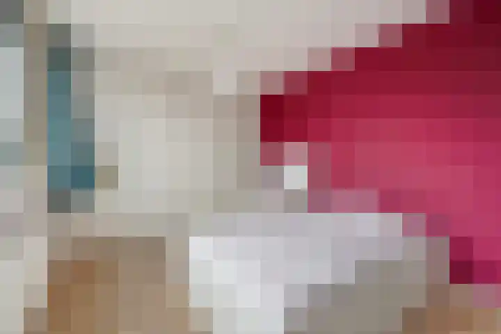 Broekwegschouw 224 Zoetermeer thumbnail 34