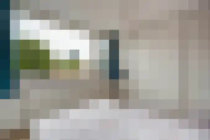 Broekwegschouw 224 Zoetermeer thumbnail 35