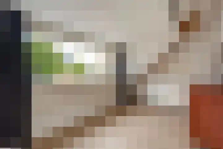 Broekwegschouw 224 Zoetermeer thumbnail 38