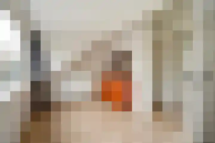 Broekwegschouw 224 Zoetermeer thumbnail 39