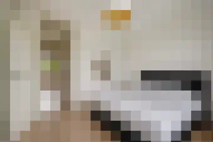 Broekwegschouw 224 Zoetermeer thumbnail 40