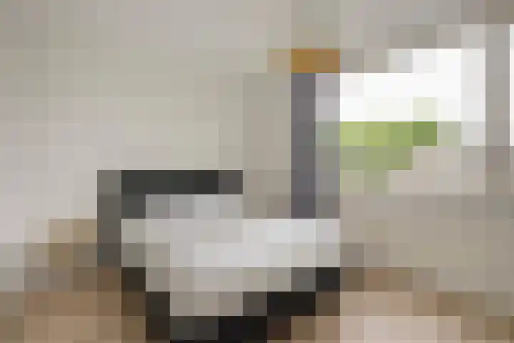 Broekwegschouw 224 Zoetermeer thumbnail 41