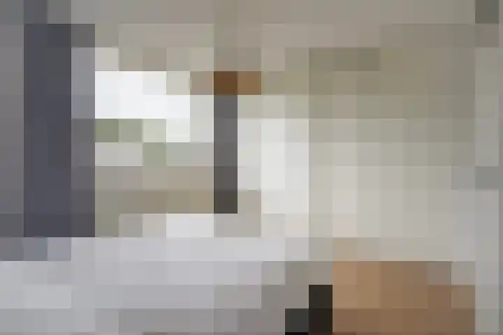 Broekwegschouw 224 Zoetermeer thumbnail 42