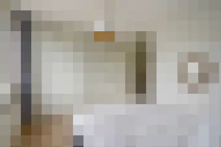 Broekwegschouw 224 Zoetermeer thumbnail 43