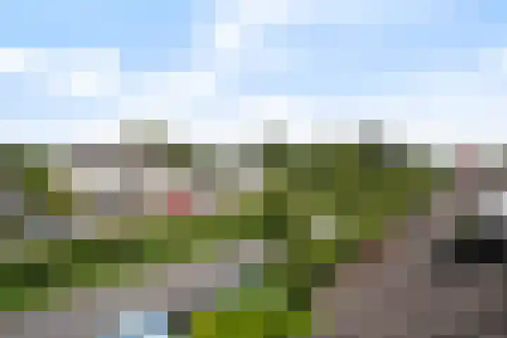 Broekwegschouw 224 Zoetermeer thumbnail 50