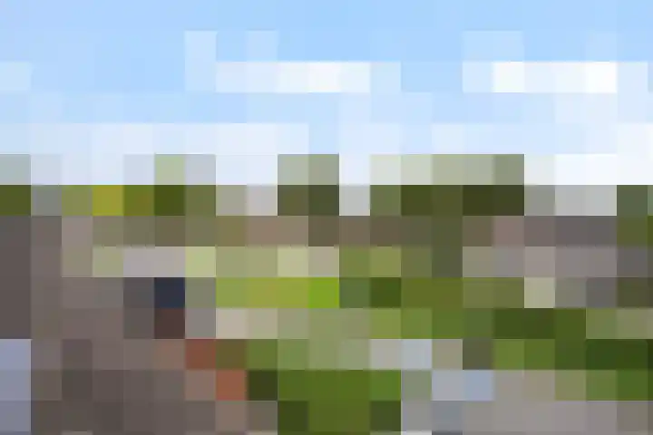 Broekwegschouw 224 Zoetermeer thumbnail 51