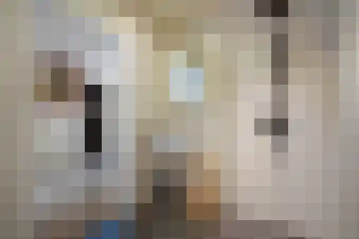 Broekwegzijde 133 Zoetermeer thumbnail 12
