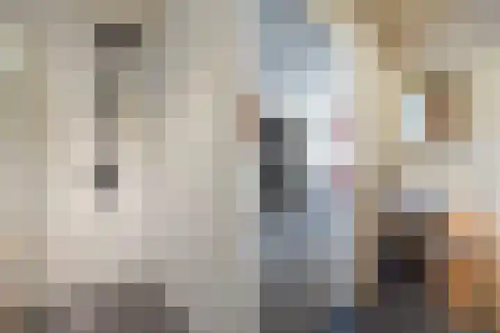 Broekwegzijde 133 Zoetermeer thumbnail 13