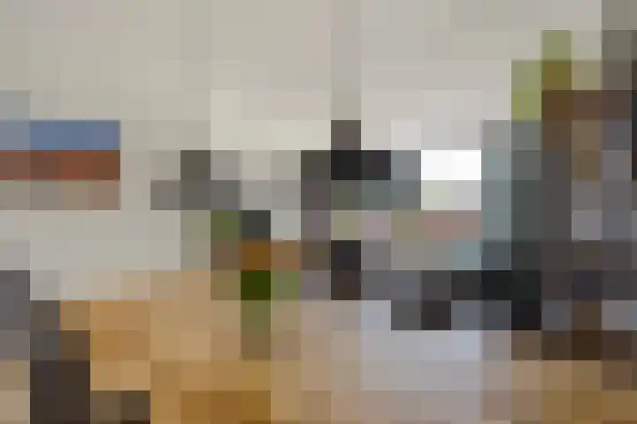 Broekwegzijde 133 Zoetermeer thumbnail 16