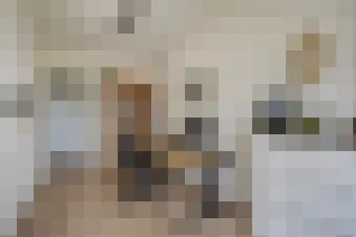 Broekwegzijde 133 Zoetermeer thumbnail 25