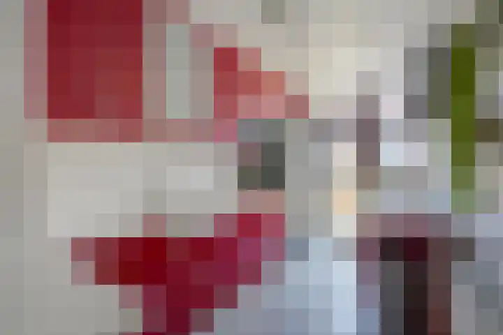 Broekwegzijde 133 Zoetermeer thumbnail 30