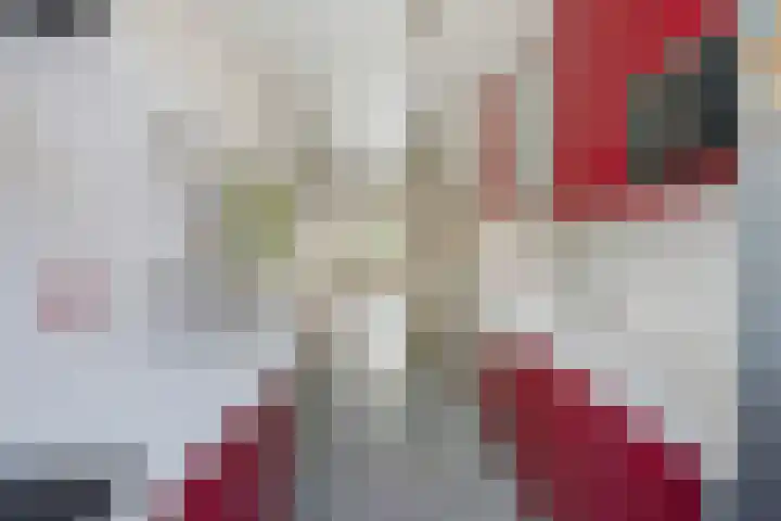 Broekwegzijde 133 Zoetermeer thumbnail 32