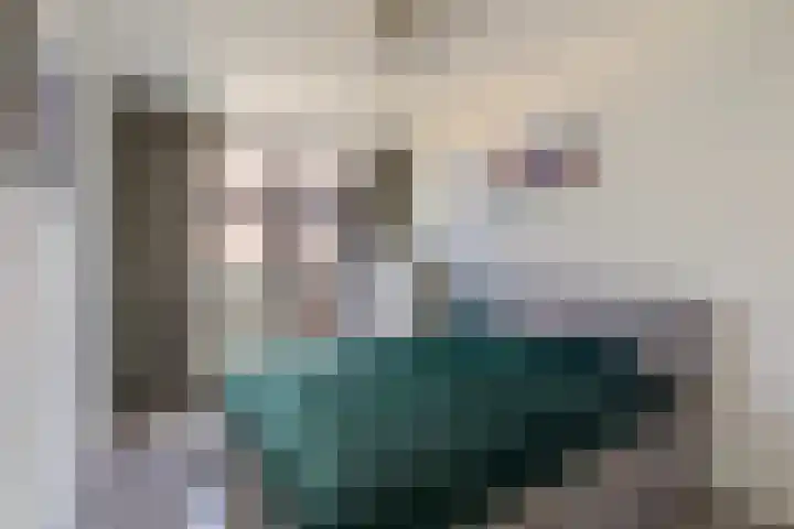 Broekwegzijde 133 Zoetermeer thumbnail 4
