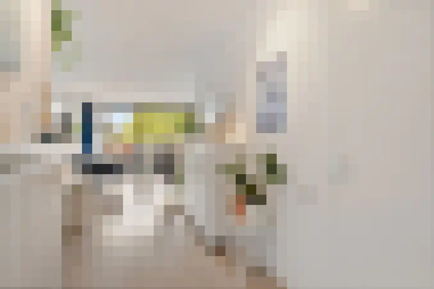 Broekwegzijde 151 Zoetermeer thumbnail 15