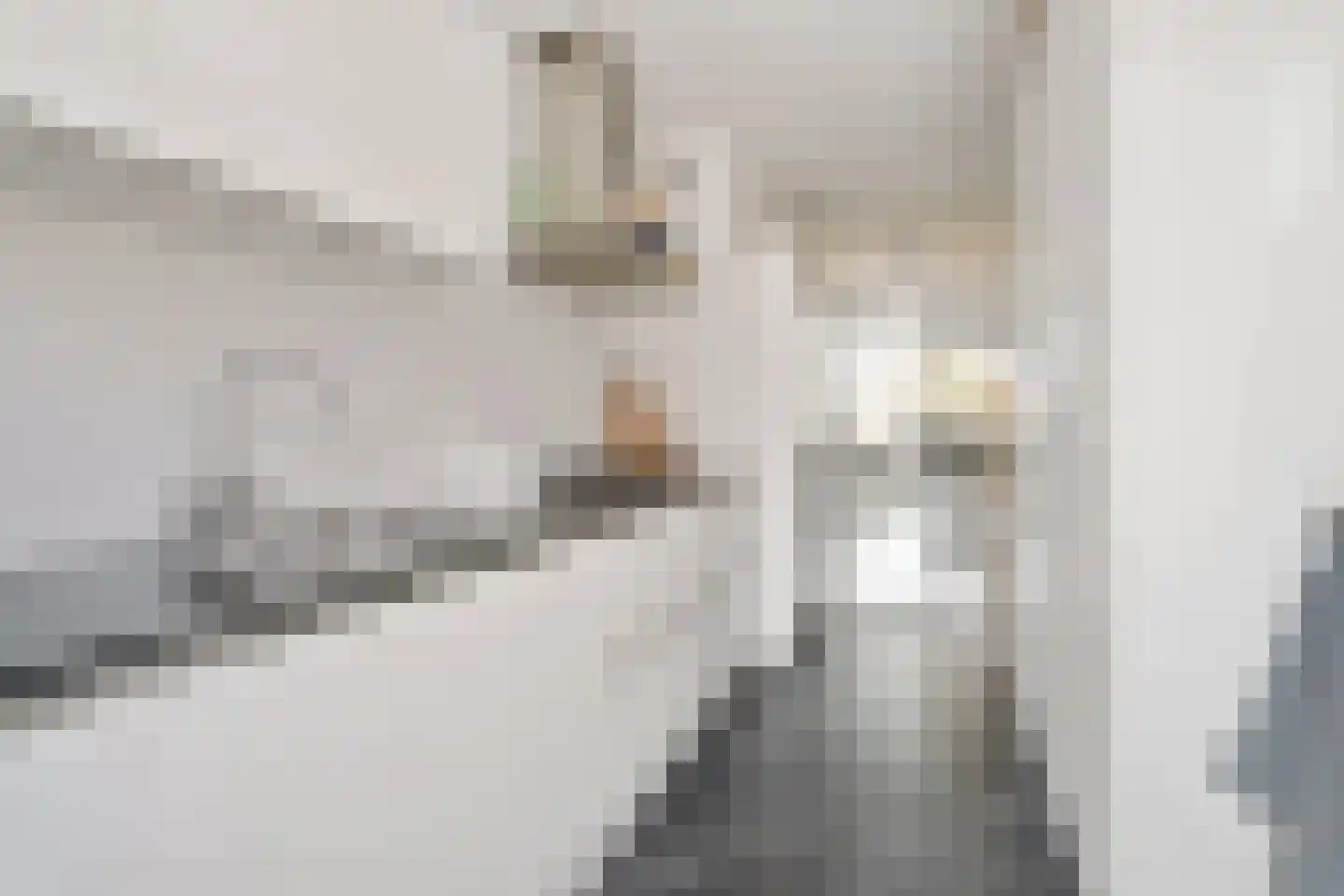 Broekwegzijde 151 Zoetermeer thumbnail 29