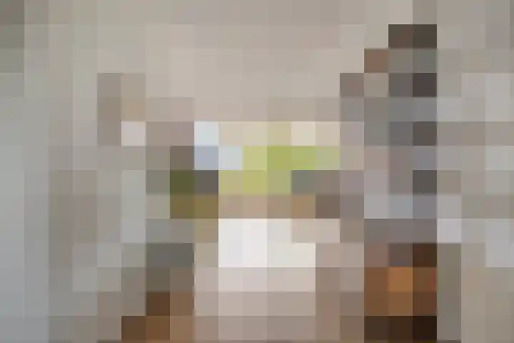 Broekwegzijde 153 Zoetermeer thumbnail 10