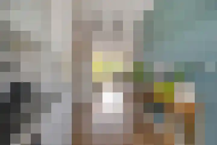Broekwegzijde 153 Zoetermeer thumbnail 14
