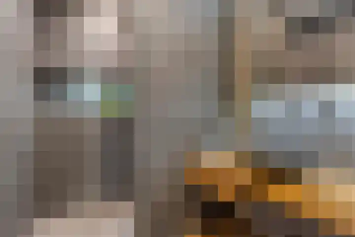 Broekwegzijde 153 Zoetermeer thumbnail 22