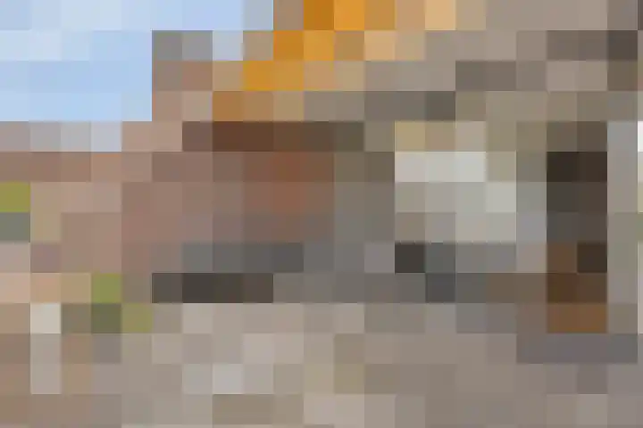 Broekwegzijde 153 Zoetermeer thumbnail 27