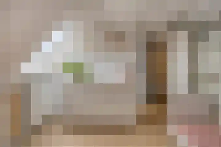 Broekwegzijde 153 Zoetermeer thumbnail 31