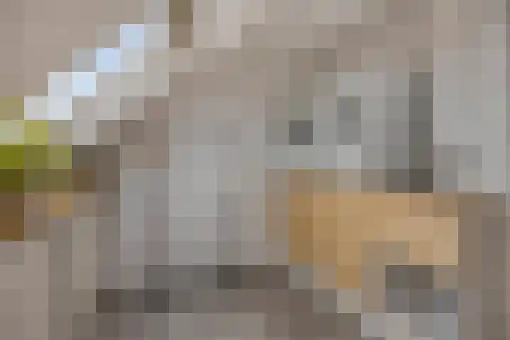 Broekwegzijde 153 Zoetermeer thumbnail 32