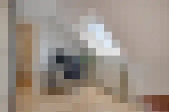 Broekwegzijde 153 Zoetermeer thumbnail 35